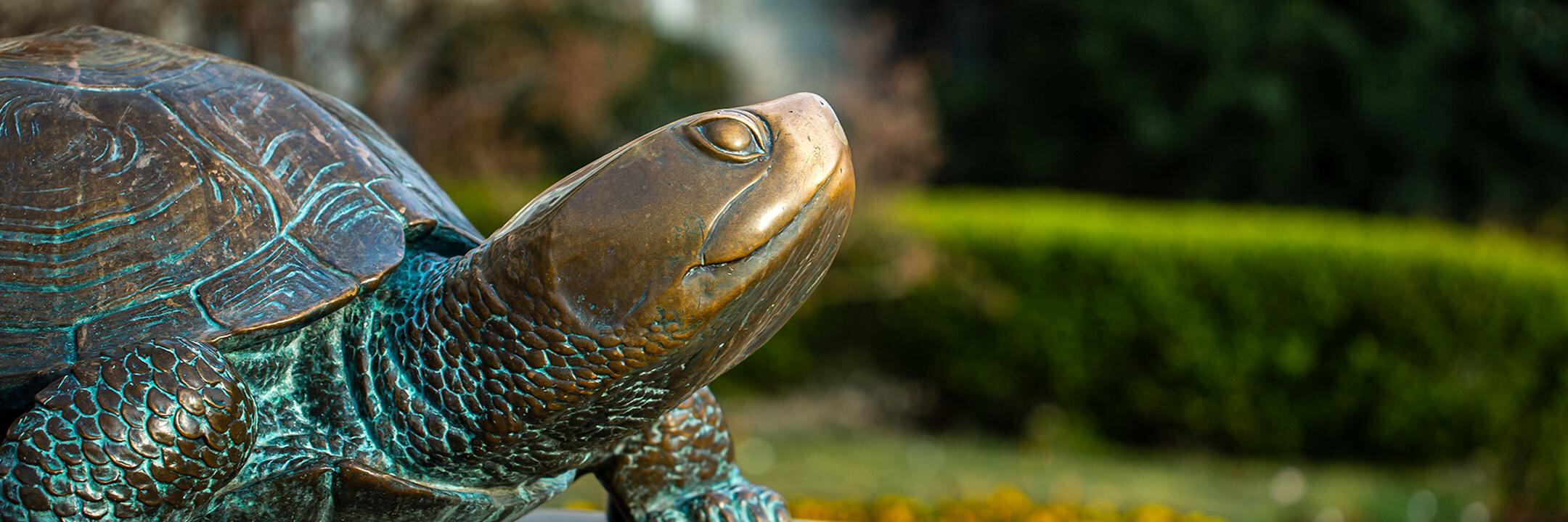 Close up on Testudo's statue in front of Mckeldin Library