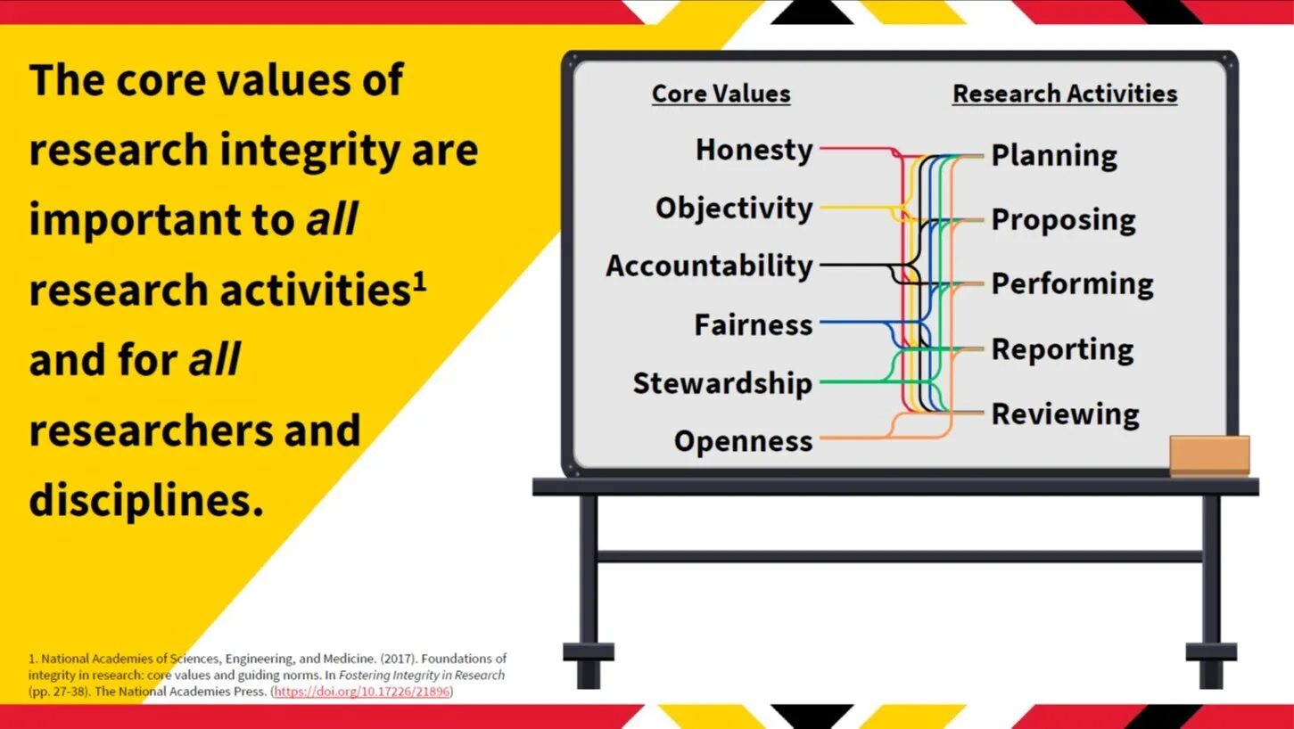 Illustration of how the core research integrity values are connected to the five main research activities.