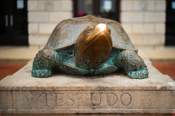 Testudo Statue