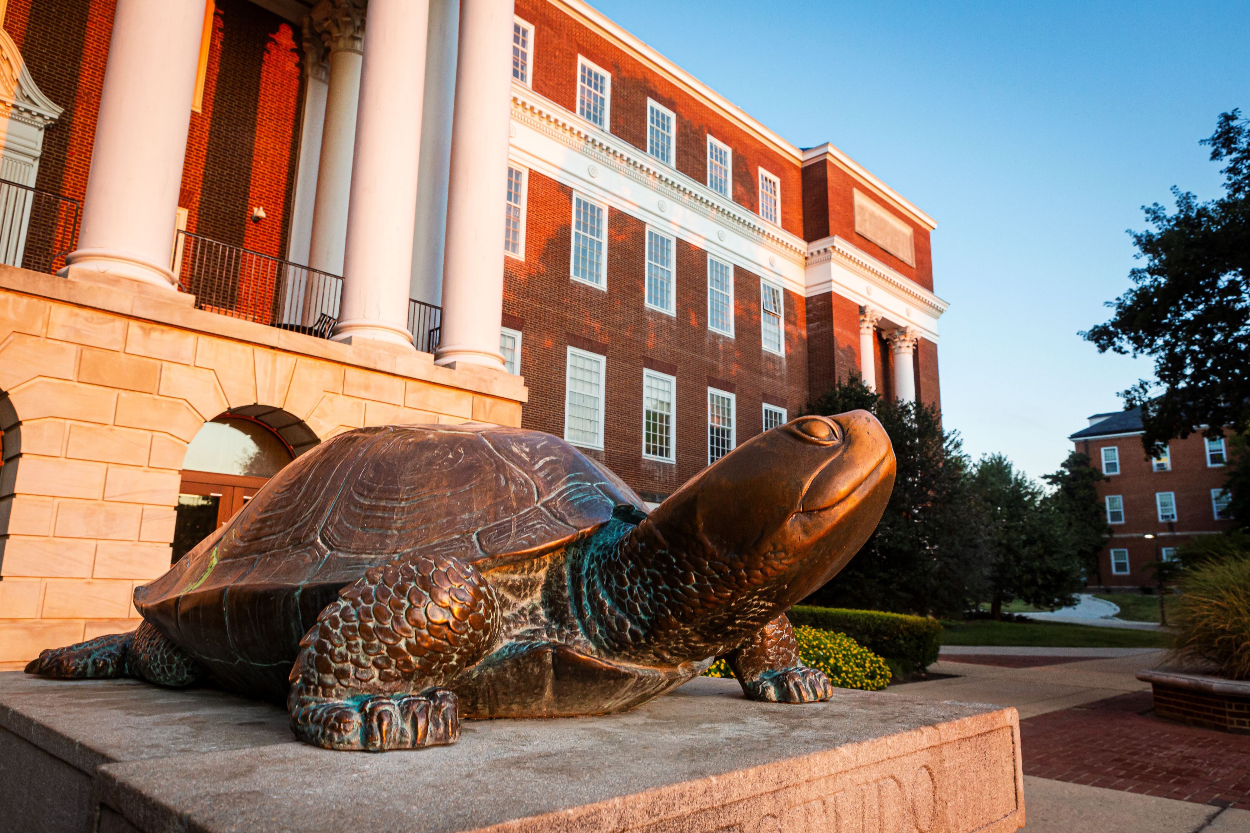 Testudo Sunrise SC 09182019 1283